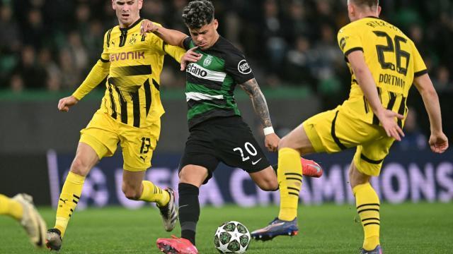 1739343974603089806.jpeg 1739343974603089806.jpeg